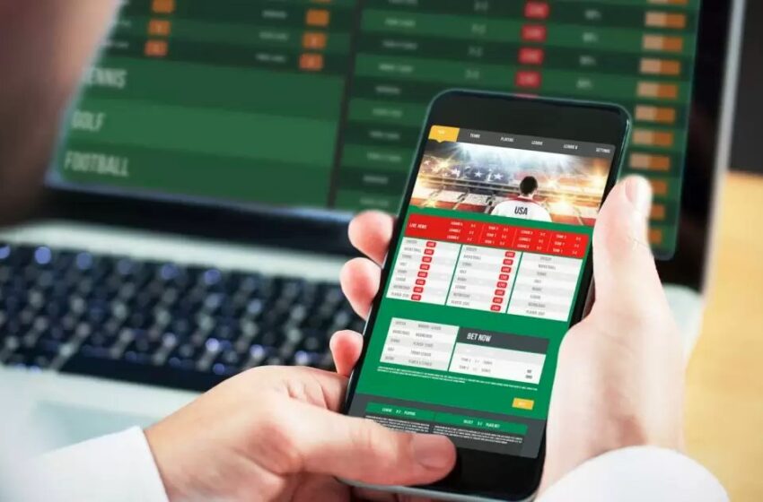 What is Bokkie on The Online Betting Sites?