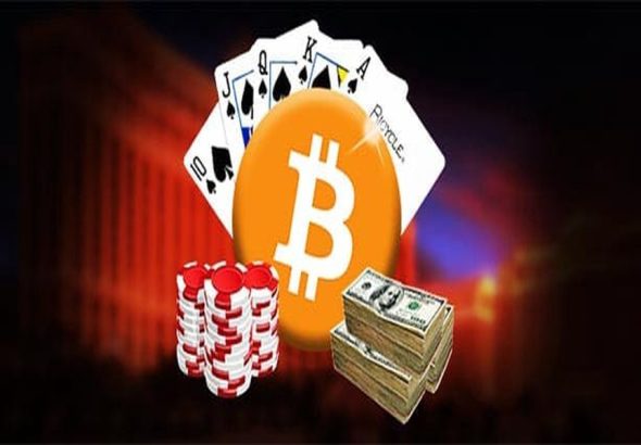 article_32489754_gallery_1776430348690-1